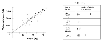 A Scatter Graph And A Tally Chart Note Tally Chart Includes