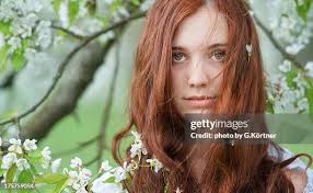 319 Cherry Blossom Queen Stock Photos, High-Res Pictures, and Images