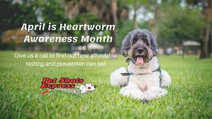 Check spelling or type a new query. Pet Shots Express Home Facebook