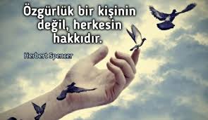 Ozgurluk Ile Ilgili Anlamli Sozler Hur Olmak Ile Ilgili Sozler Guzel Sozler Let It Be Letting Go Life