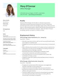 Download now the professional resume that fits your profile! Office Manager Resume Guide 12 Samples Pdf 2020