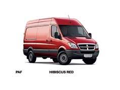 Image result for Hibiscus Red 2007 Sprinter