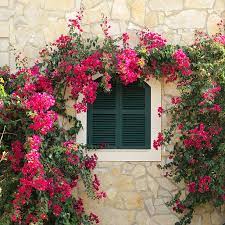 Le decorazioni per le pareti di casa sono le protagoniste della strategia vincente per arredare non solo le stanze, ma anche i muri degli. Decorare La Casa Con I Rivestimenti Esterni Ville Casali