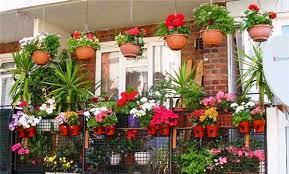 Perfect for small balcony garden. 20 Colorful Balcony Terrac Garden Design To Make It Cooler N Greener This Summer Blog Nurserylive Com Gardening In India