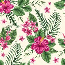 Vector image tropical plumeria floral seamless pattern can be used for personal and commercial purposes according to the conditions of. Tropical Floral Seamless Pattern With Plumeria And Hibiscus Flowers Royalty Free Cliparts Vectors And Stock Illustration Image 45581775