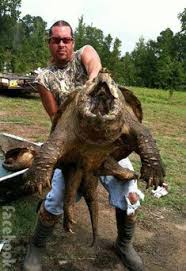 Various segments of swamp people are filmed around south louisiana, including bayou sorrel, bayou pigeon, pierre part, morgan city, houma the cast of swamp people changes from season to season, as new members are added, and others removed. 97 Swamp People Ideas Swamp People Swamp People