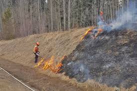 Updates, news and prevention tips from the bc wildfire service. Bc Wildfire Service Oversees Prescribed Burns Along Tachie Highway Caledonia Courier