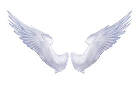 Angel Wings Wings Png Images Transparent Free Download Free Transparent Png Logos