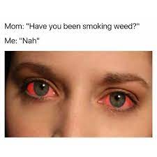 Pin On Arny S Weed