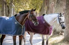 Die decke hat eine innenseite aus polypropylen und eine isolierende 160 g füllung. Back On Track Abschwitzdecke Nights Collection Reitsport Lintado