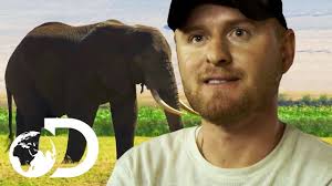 The team prepares for a night raid inside a park in tanzania. Fighting Poachers To Protect The Elephants Of Tanzania Blood Ivory Youtube