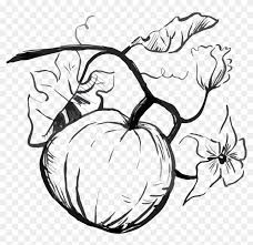 Check spelling or type a new query. Pumpkin Seed Drawing At Getdrawings Free For Personal Drawing Free Transparent Png Clipart Images Download