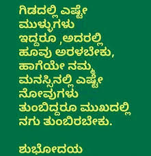 Good Morning My Freinds Good Morning Quotes Happy Morning Quotes Morning Quotes