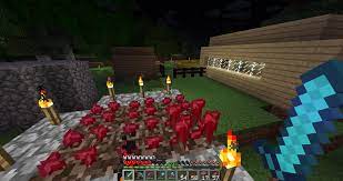 Nether warts can be found growing naturally in nether fortresses on soul sand patches, or in nether fortress chests. Nether Wart Can Now Grow In The Overworld And The End In 12w27a With Official Response From Dinnerbone Recent Updates And Snapshots Minecraft Java Edition Minecraft Forum Minecraft Forum