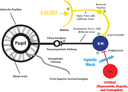 Pin On Mind Manipulation