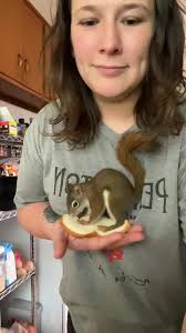 Amanda Gayton (@msamandablake)’s videos with original sound