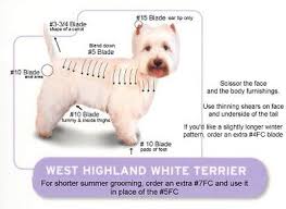 Westie Grooming Chart Dog Clippers Dog Grooming Styles