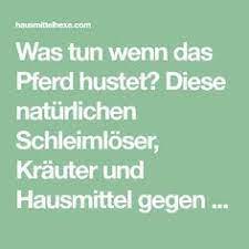 Pferd Hustet Schleimloser Hausmittel Gegen Husten Bei Pferden Hausmittelhexe Husten Hausmittel Hausmittel Husten