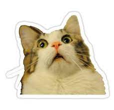 Upset Cat Sticker By Carlac Adesivos Bonitos Adesivos Personalizados Adesivos Sticker