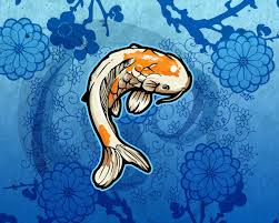 How to set up a fishing rod for lure fishing: Koi Wallpaper Koi Wallpaper Cool Iphone Wallpapers Hd Iphone Wallpaper Images