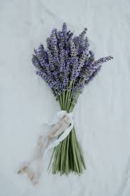 Check spelling or type a new query. Wedding Flowers Blog Overview Danish Island Weddings