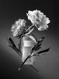Black And White Still Life Photography Patrice De Villiers Fragrance Black White Perfume Essential Oil Perfume Perfume Beauty Products Photography