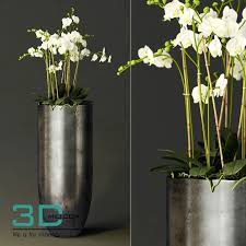 Nice 226 Vase Decor 3dmili Model 226 Free Download Download Here Http 3dmili Com Decoration Vase 226 Vase Decor 3dmili Model 226 Fr Plants Plant Decor Vase