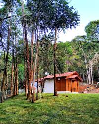 Check spelling or type a new query. Domingos Martins Vacation Rentals Homes Brazil Airbnb