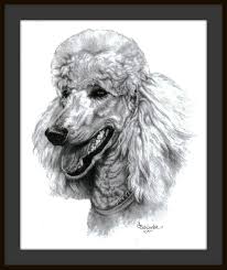 4.6 out of 5 stars 306. How To Draw A Realistic Standard Poodle Vtwctr