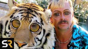 Maybe you would like to learn more about one of these? Netflix S Tiger King Pitch Meeting Youtube