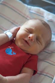 Baby Harrison's Fresh 48