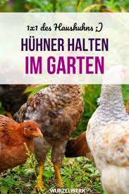 Wenn sie vorhaben, hühner im garten zu halten, dann sollten sie gut darüber nachdenken! Es Lebe Das Haushuhn Huhner Halten Im Garten Wurzelwerk In 2020 Haushuhn Huhner Im Garten Huhnerhaltung Im Garten