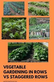 Cultivating your own plants, whether to eat them or simply admire their beauty, is good for your overall well being. Planting Garden Vegetables In Rows And Staggered Rows Gardening Channel