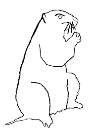 Make a coloring book with marmot for one click. Groundhog 10960 Animals Printable Coloring Pages