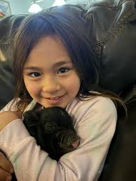 What should I consider before getting a pot-bellied pig?