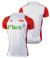 Oficjalny serwis polskiej piłki siatkowej zaprasza. Koszulka Adidas Polo M E86465 Sklepsiatkarza Pl