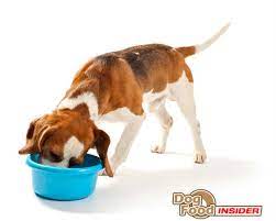 Ol Roy Dog Food Review Ingredients Analysis
