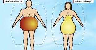 Android And Visceral Obesity Pear Body Shape Pear Shaped Body Diet Foods To Eat