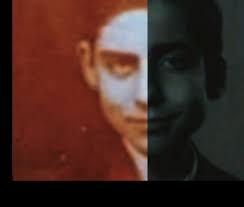 Aiden Gallagher Look Alike