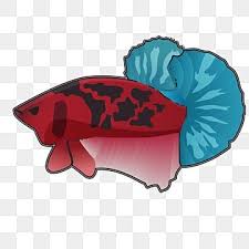 Flat vector made in sketch. Betta Fish Cupang Png Images Vector And Psd Files Free Download On Pngtree