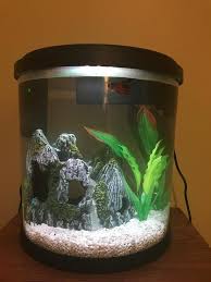 In a tank smaller than 5 gallons, your betta won't live out his full life span. Top Fin Betta Aquarium Heater Fish Heaters Petsmart