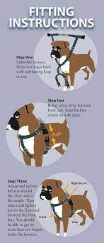 Freedom Harness Manufacturer S Fit And Training Instructions Puppy Training Dog Training Obedience Dog Harness