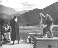 We will see the procedure and benefits of paschimottanasana here. The 12 Basic Postures Sivananda Yoga Vedanta Centres Ashrams Google Arts Culture