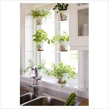 Diy glass shelves in front of kitchen window decor kitchen. Indoor Herb Garden Ideas Macetas Casitas Cocinas
