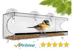 Bird Feeders For Small Birds Amazon Premium Large Window Bird Feeder By Chillax Now Exclusively Available On Amazon Window Bird Feeder Bird Feeders Animals For Kids