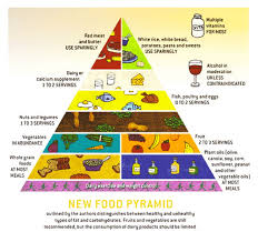 Understanding The Food Group Pyramid And How To Use It For