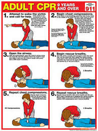 Details About Adult Cpr First Aid Instructional Wall Chart Poster Arc Aha Guidelines
