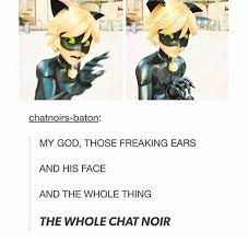 Pin On Miraculous Ladybug