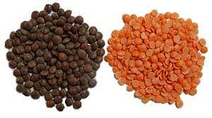 lentils nutrition facts and health benefits