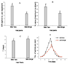 Bananas are usually planted at the beginning of the wet season,, but can be planted all year round. Host Races Of The Cotton Aphid Aphis Gossypii In Asexual Populations From Wild Plants Of Taro And Brinjal Abstract Europe Pmc